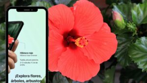 Aplicación PictureThis: Identifique los datos de cualquier planta | 1