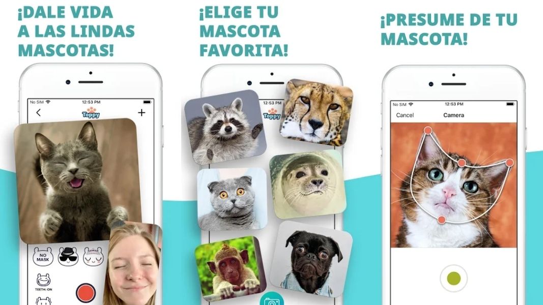 Cómo hacer que tus mascotas hablen con la aplicación Toppy 1 Cómo hacer que tus mascotas hablen con la aplicación Toppy | Toppy