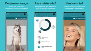Aplicación‌ ‌Dog‌ ‌Scanner‌ ‌-‌ ‌Identificar‌ ‌la‌ ‌raza‌ ‌de‌ ‌cualquier ‌perro‌ | Aplicacion Dog Scanner
