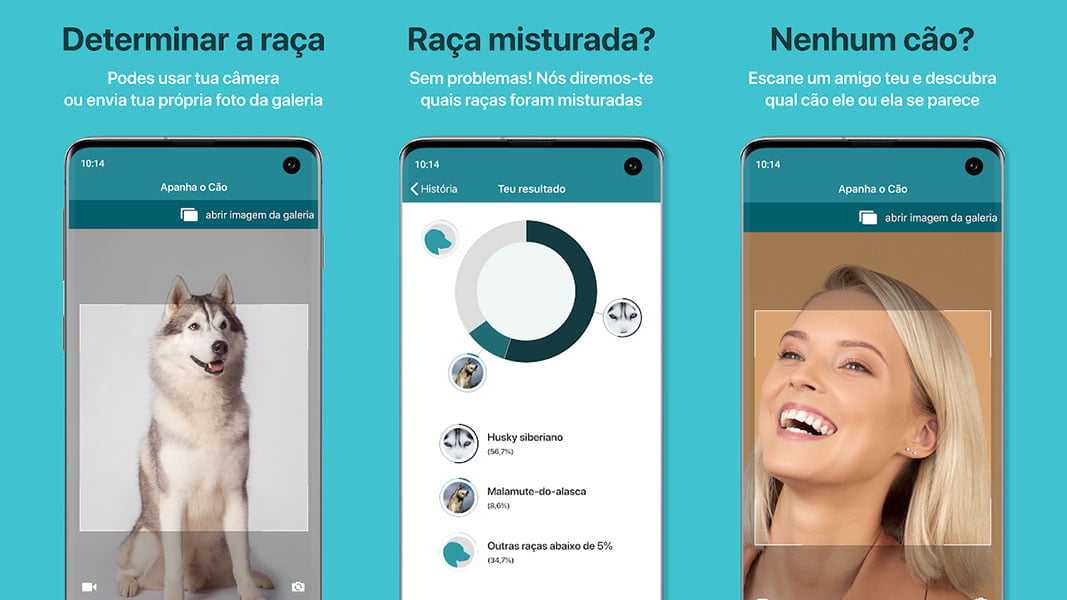Aplicación Dog Scanner - Identificar la raza de cualquier perro 1 Aplicación Dog Scanner - Identificar la raza de cualquier perro | Aplicacion Dog Scanner