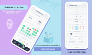 Los buenos hábitos pueden cambiarlo todo: crea nuevos hábitos con la aplicación Rabit | Aplicacion Rabit