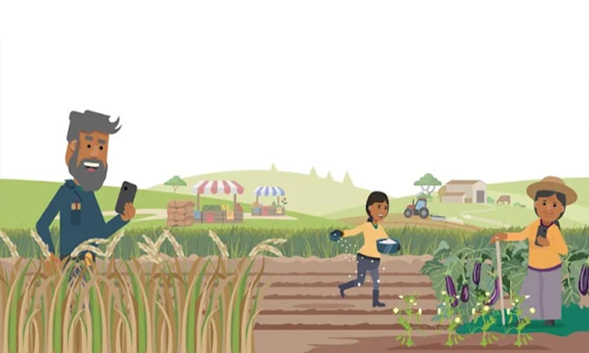 Aplicación Plantix – El médico de las plantaciones 1 Aplicación Plantix – El médico de las plantaciones |