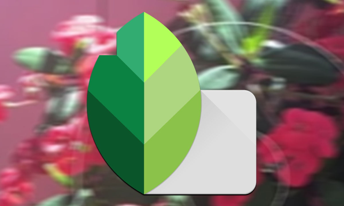 Aplicación Snapseed: Conoce el editor de fotos desarrollado por Google 1 Aplicación Snapseed: Conoce el editor de fotos desarrollado por Google | Aplicacion snapseed