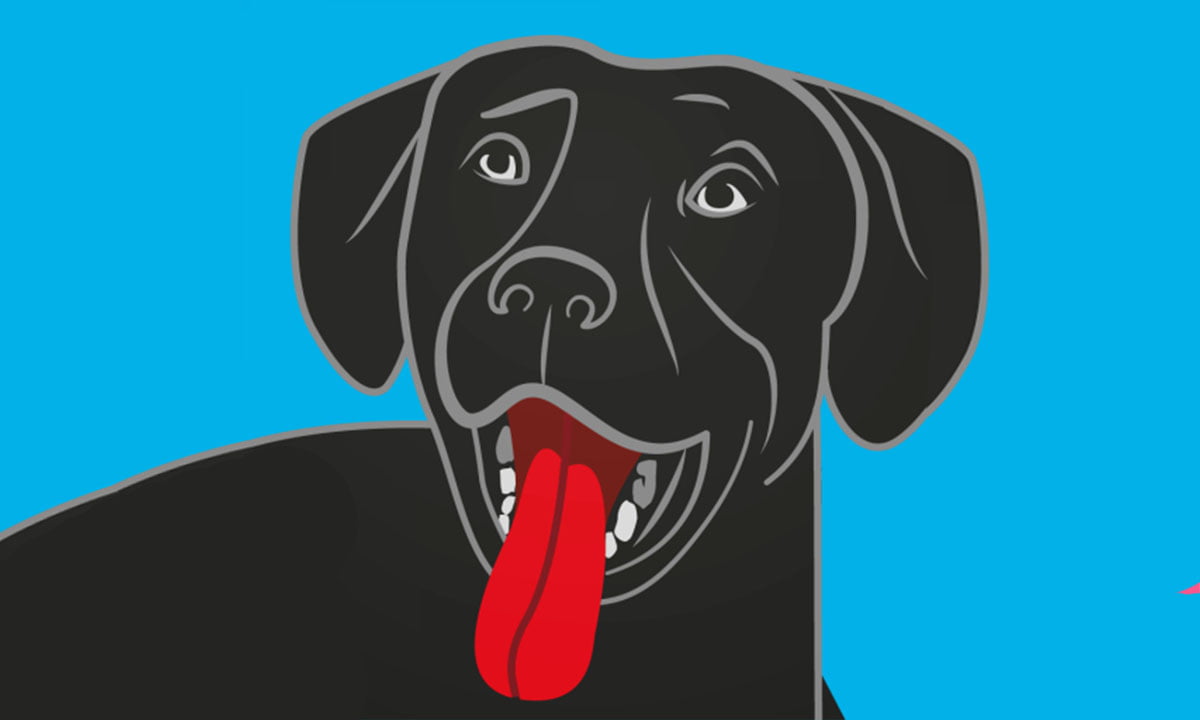 Las aplicaciones para los dueños de perros 1 Las aplicaciones para los dueños de perros | Las aplicaciones para duenos de perros