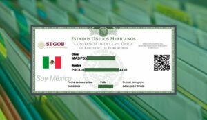 Cómo Consultar el CURP Usando el Móvil | curp