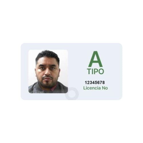 Aplicación para crear la versión digital de tu CURP: transfórmalo en PDF