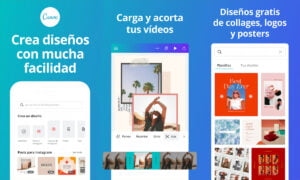 Cómo usar Canva para añadir un marco de flores a tus fotos [Paso a paso] | Aplicacion usar Canva
