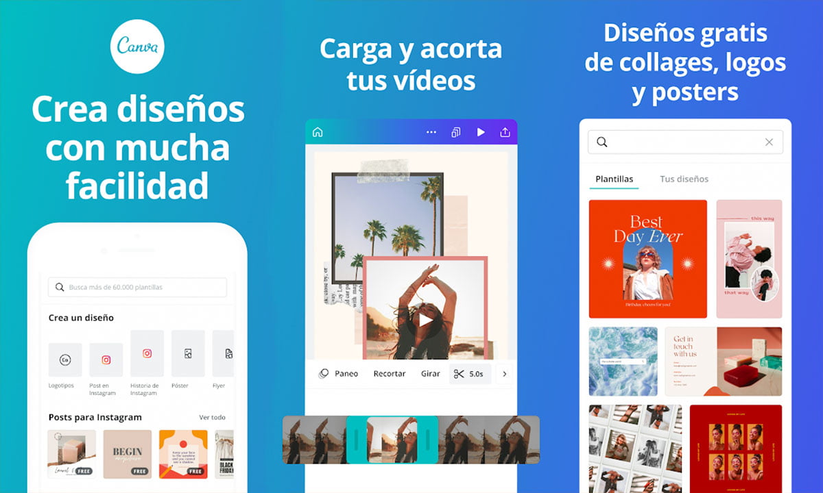 Cómo usar Canva para añadir un marco de flores a tus fotos [Paso a paso] | Aplicacion usar Canva