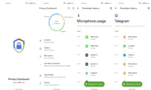 Cómo acceder al panel de privacidad de Android 12 | Como acceder al panel de privacidad de Android