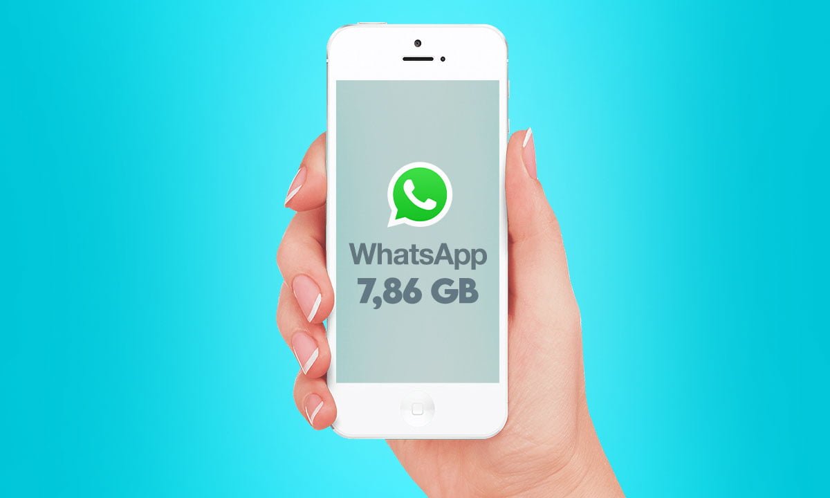 Consejos sobre qué hacer si WhatsApp ocupa demasiado espacio en el iPhone 1 Consejos sobre qué hacer si WhatsApp ocupa demasiado espacio en el iPhone | Consejos sobre que hace