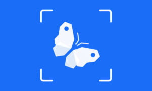App para identificar insectos: Aprende a descargarla e instalarla gratis | Identificar Insectos
