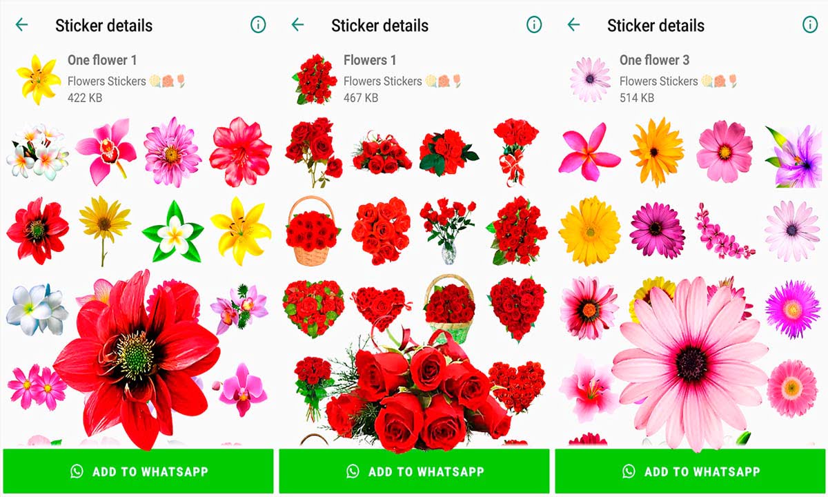 Las mejores aplicaciones de pegatinas de flores para WhatsApp 1 Las mejores aplicaciones de pegatinas de flores para WhatsApp | Las mejores aplicaciones de pegatinas de flores para WhatsApp