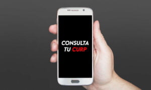 Descarga gratis la CURP desde tu celular | OKComoDescargarlaCURPporcelularGRATIS2022