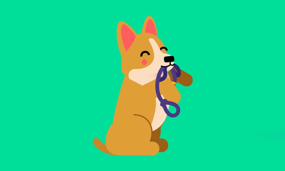 Entrena a tu perro con la aplicación Dogo 1 Entrena a tu perro con la aplicación Dogo | Entrena a tu perro con la aplicacion Dogo