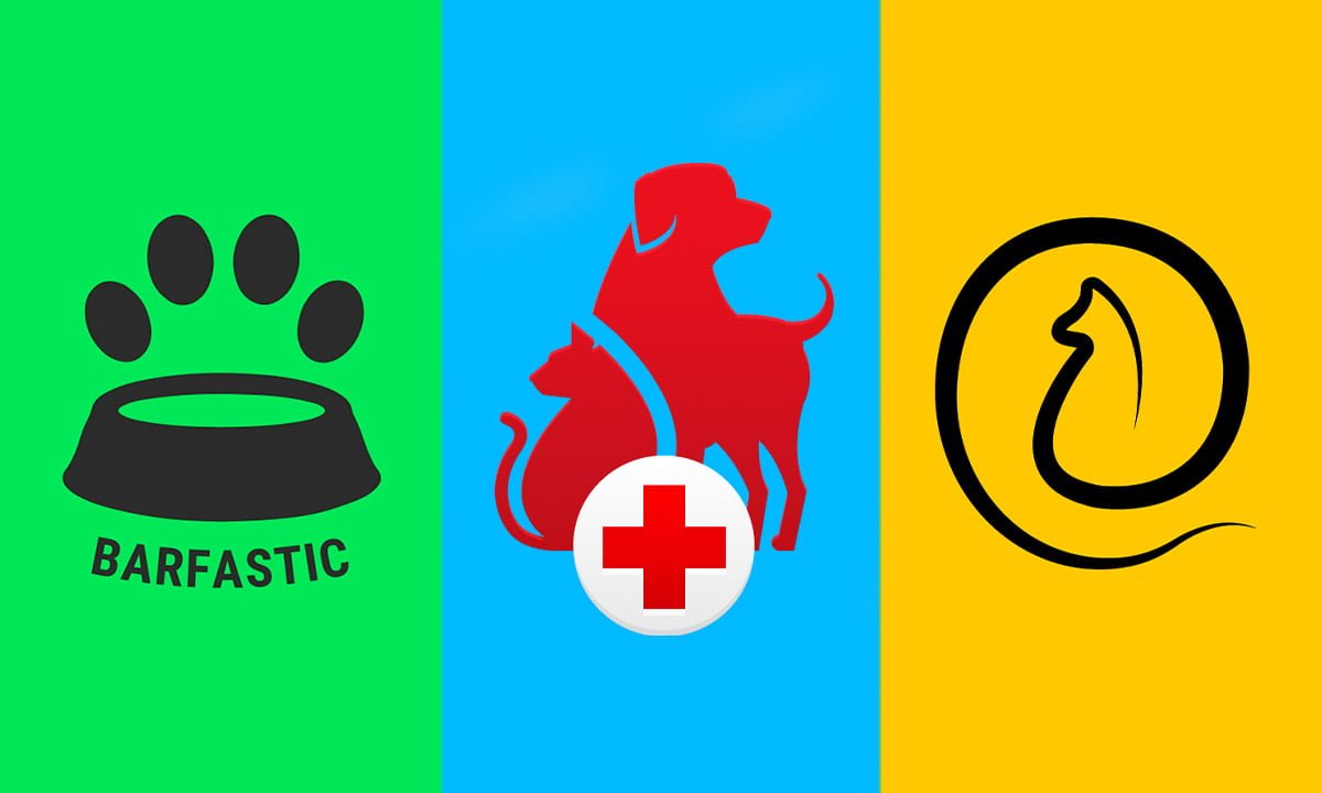 Las mejores aplicaciones para cuidar mejor a tu mascota 1 Las mejores aplicaciones para cuidar mejor a tu mascota | Las mejores aplicaciones para cuidar mejor a tu mascota