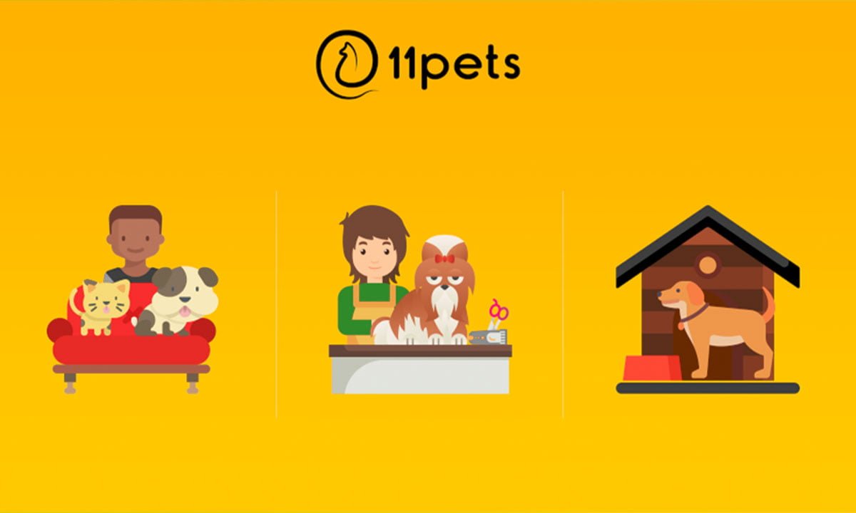 11pets: app que te ayuda a cuidar de tu mascota 1 11pets: app que te ayuda a cuidar de tu mascota | 11pets App que te ayuda a cuidar de tu mascota