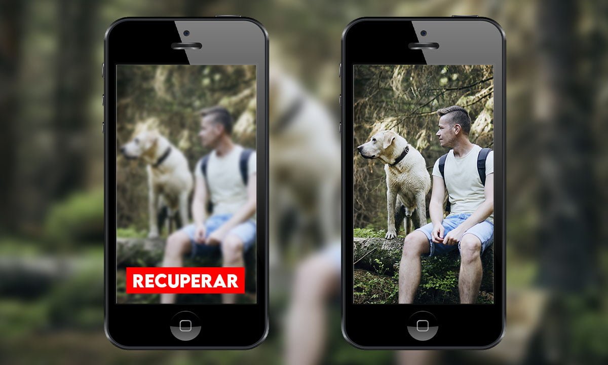 3 formas de recuperar fotos borradas de WhatsApp | 3 formas de recuperar fotos borradas de whatsapp