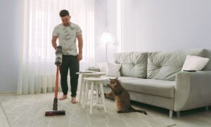 5 aplicaciones para organizar tu casa y ahorrar tiempo | 5 aplicaciones para organizar tu casa y ahorrar tiempo.SIN