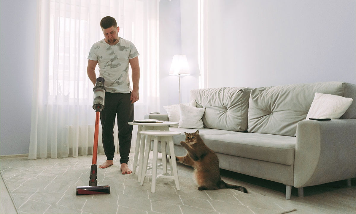 5 aplicaciones para organizar tu casa y ahorrar tiempo 1 5 aplicaciones para organizar tu casa y ahorrar tiempo | 5 aplicaciones para organizar tu casa y ahorrar tiempo.SIN