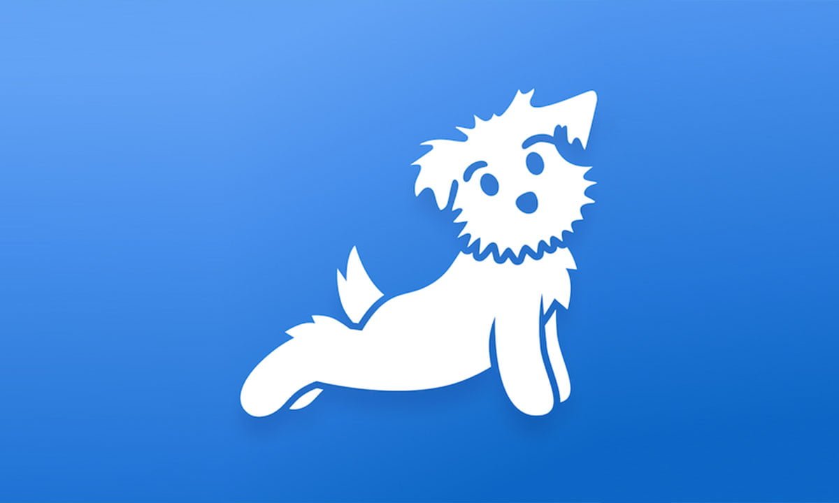 Yoga | Down Dog – Aprenda a descargar | Yoga Down Dog Aprenda a descargar