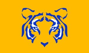 Aplicación oficial de Tigres - Sigue a tu equipo con esta app | Aplicacion oficial de Tigres Sigue a tu equipo con esta app