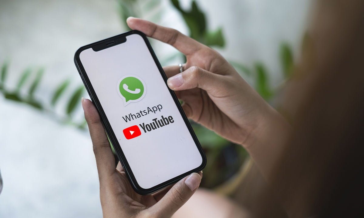 Cómo añadir un vídeo de YouTube al estado de WhatsApp 1 Cómo añadir un vídeo de YouTube al estado de WhatsApp | Como anadir un video de YouTube al estado de WhatsApp