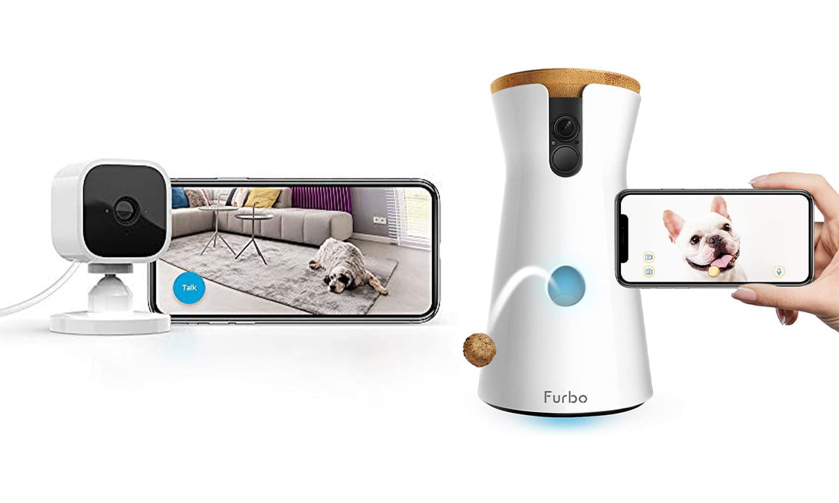 6 de las mejores cámaras para mascotas para controlar a tu gato o perro 1 6 de las mejores cámaras para mascotas para controlar a tu gato o perro | 6 de las mejores camaras para mascotas para controlar a tu gato o perro