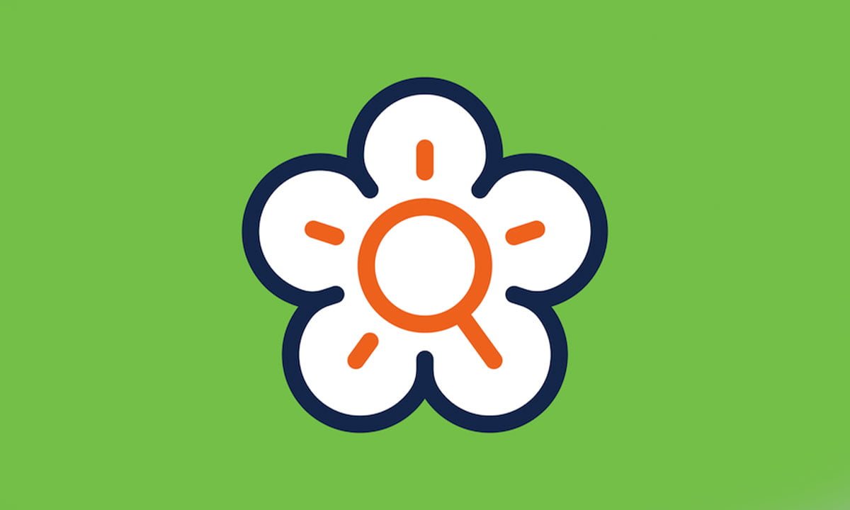 Aplicación Flora Incognita: Descubre el nombre y mucha información sobre las plantas 1 Aplicación Flora Incognita: Descubre el nombre y mucha información sobre las plantas | Aplicacion Flora Incognita Descubre el nombre y mucha informacion sobre las plantas