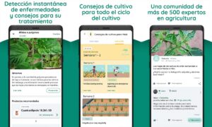Aplicación de Plantix: identifique las enfermedades de sus plantas | Aplicacion de Plantix identifique las enfermedades de sus plantas