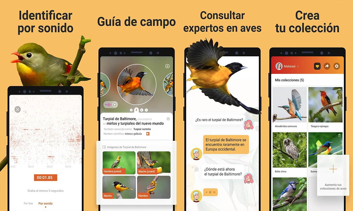 Aplicación para identificar aves: Identificar por el sonido 1 Aplicación para identificar aves: Identificar por el sonido | Aplicacion para identificar aves Identificar por el sonido.SIN