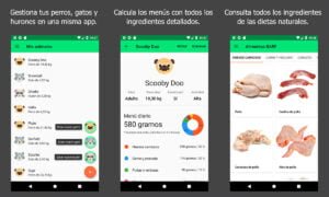 Las mejores aplicaciones para cuidar tu mascota | Las mejores aplicaciones para cuidar tu mascota
