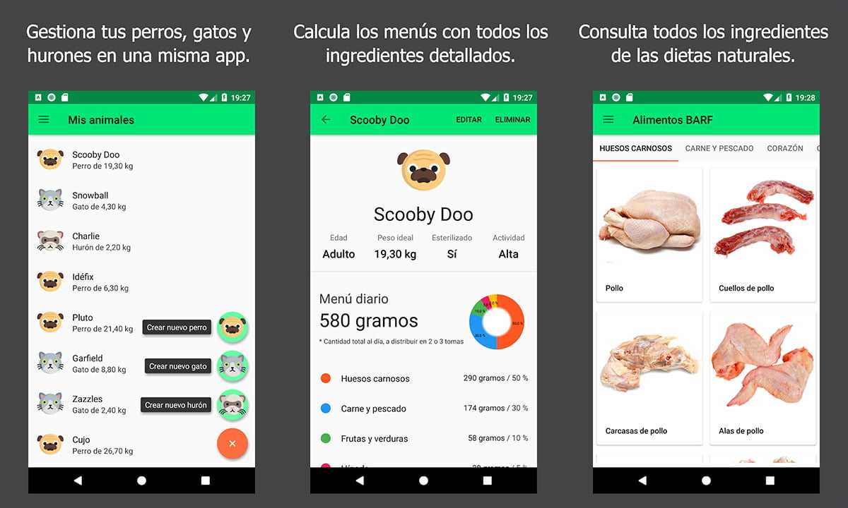 Las mejores aplicaciones para cuidar tu mascota 1 Las mejores aplicaciones para cuidar tu mascota | Las mejores aplicaciones para cuidar tu mascota