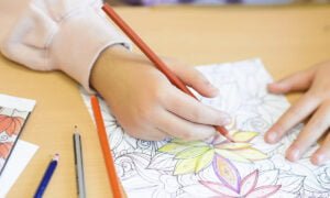 Los mejores cursos de diseño en línea en Edutin | Los mejores cursos de diseno en linea en Edutin