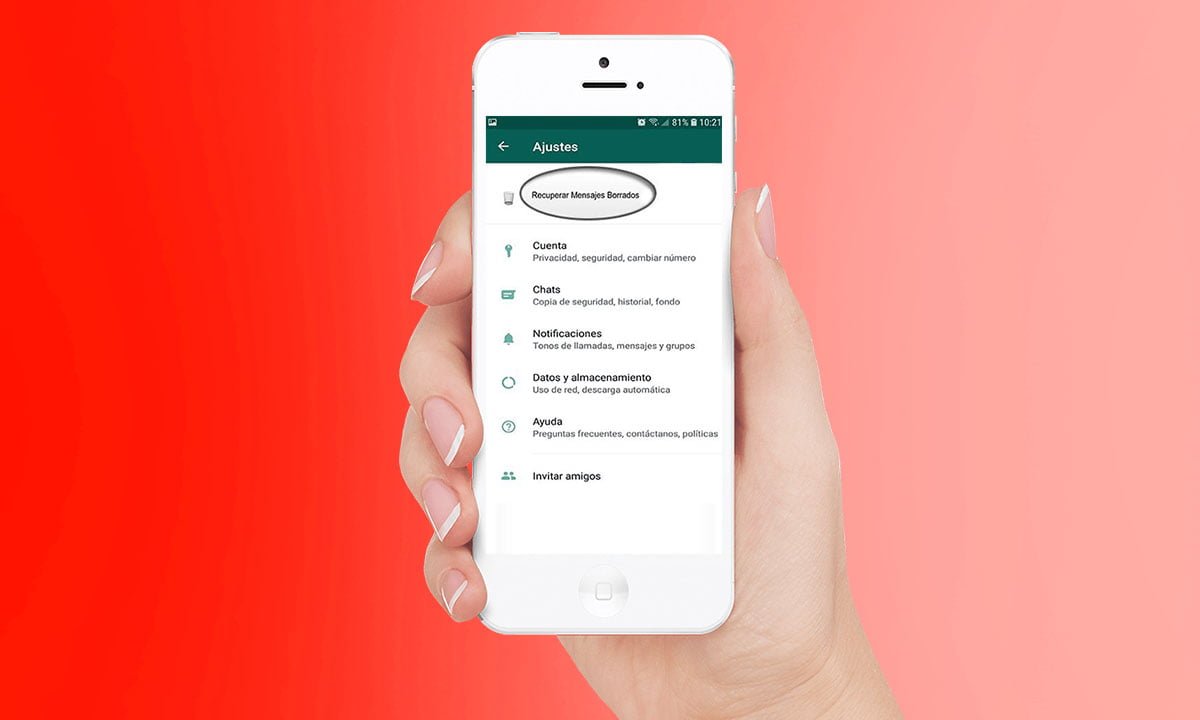 Cómo recuperar conversaciones eliminadas en WhatsApp | Como recuperar conversaciones eliminadas en WhatsApp