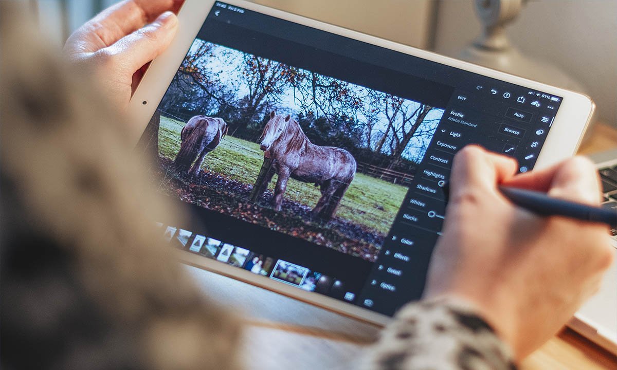 Las 10 mejores aplicaciones para editar fotos como Blogger en 2024 1 Las 10 mejores aplicaciones para editar fotos como Blogger en 2024 | Las 10 mejores aplicaciones para editar fotos como blogger en 2022