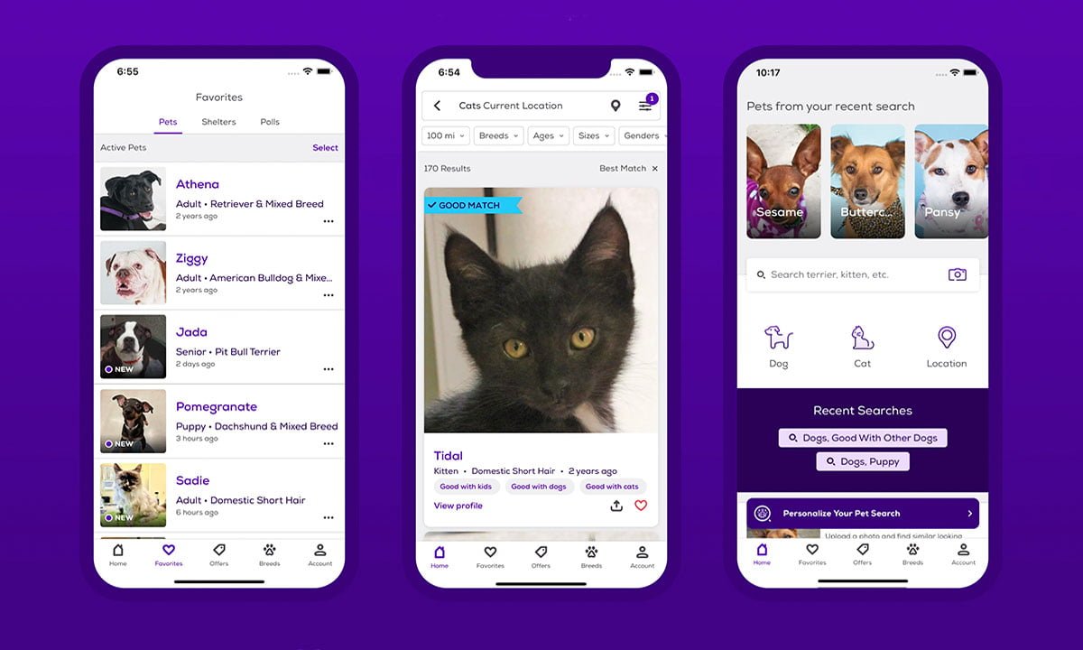 Las mejores apps para adoptar mascotas en 2024 1 Las mejores apps para adoptar mascotas en 2024 | Las mejores apps para adoptar mascotas en 2022