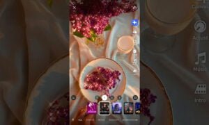 Prequel app - Los mejores filtros para tus fotos | Prequel App Los mejores filtros para tus fotos