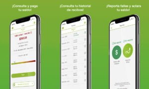 Aplicación CFE - Consulte y pague su recibo de luz | Aplicacion CFE Consulte y pague su recibo de luz 1500 palabras