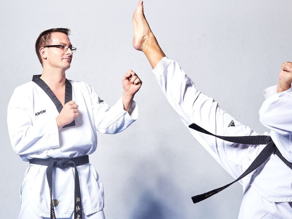 Aplicación para aprender karate en casa 3 Aplicación para aprender karate en casa