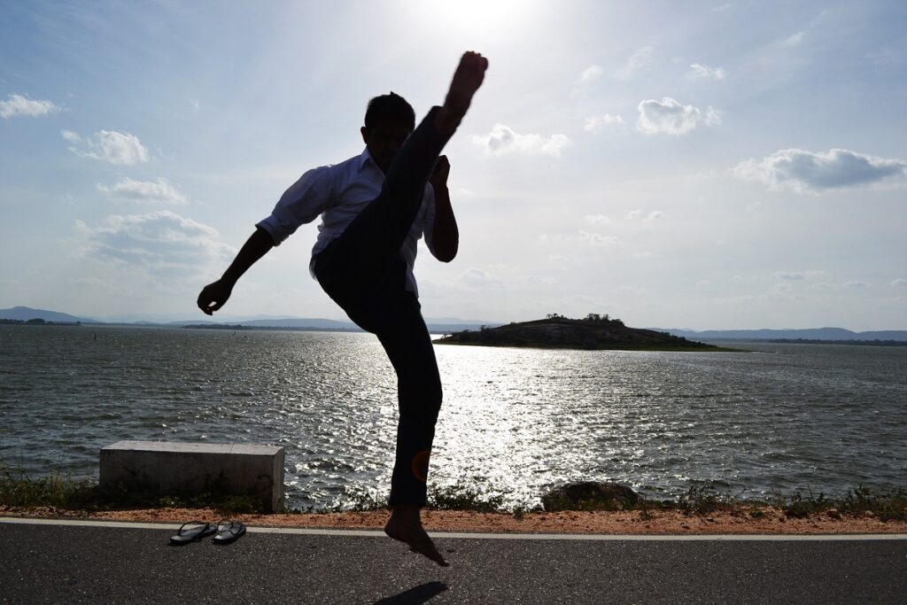 Aplicación para aprender karate en casa 2 Aplicación para aprender karate en casa 2