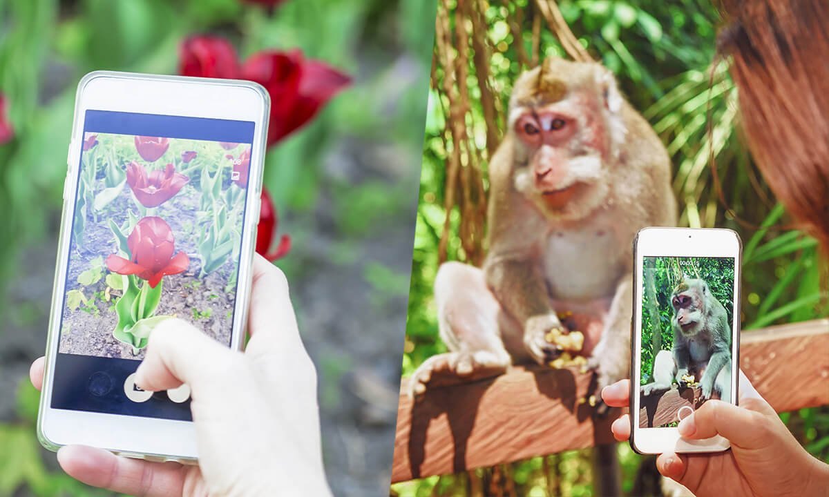 Las mejores aplicaciones para identificar plantas y animales | 16. Las mejores aplicaciones para identificar plantas y animales