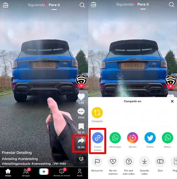 Cómo descargar vídeos de TikTok: Guía paso a paso 6 Cómo descargar vídeos de TikTok: Guía paso a paso | 195656565