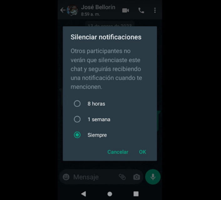 Cómo pausar las notificaciones de WhatsApp | 43. Como dejar de recibir notificaciones de WhatsApp1 3