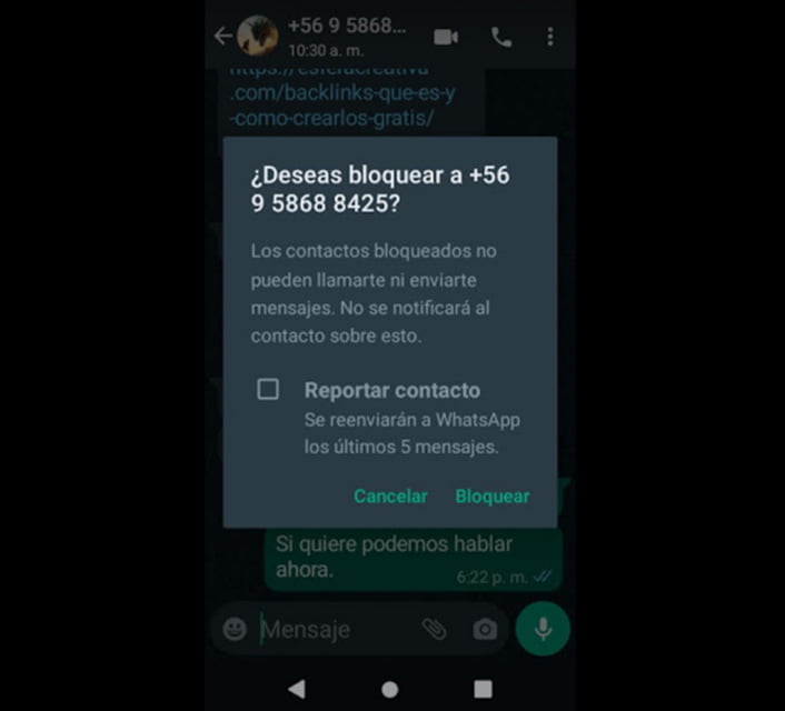 Cómo pausar las notificaciones de WhatsApp | 43. Como dejar de recibir notificaciones de WhatsApp1 7