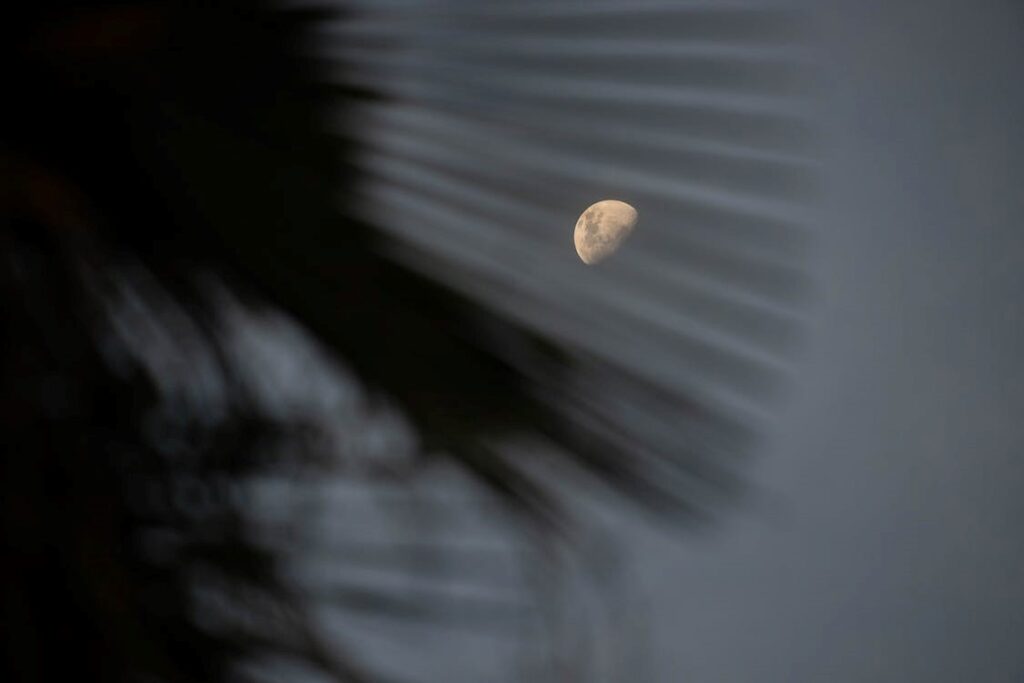 ¿Cuál es la fase de la luna hoy? Conoce 5 sitios para descubrirlo 3 Cuál es la fase de la luna hoy