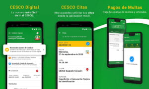 Aplicación para gestionar tu licencia de conducir digital en Puerto Rico 2024  | Foto 60
