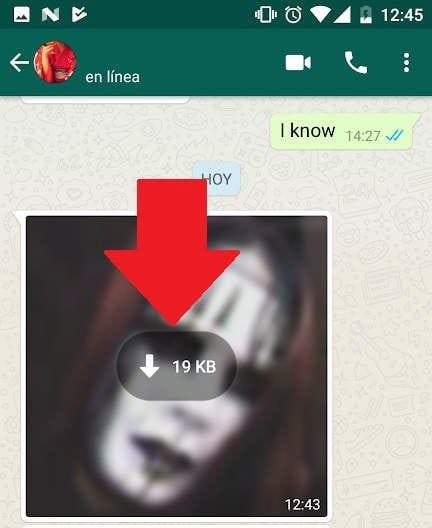¿Cómo recuperar fotos y videos en WhatsApp? 3 Cómo recuperar fotos y videos en WhatsApp 3