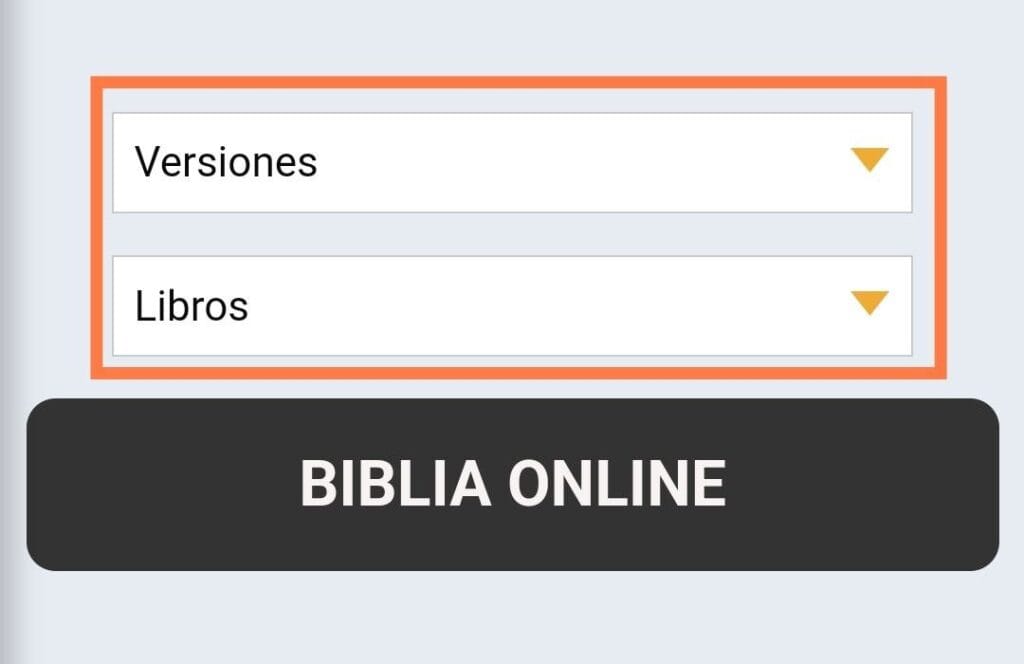 Cómo leer la Biblia desde el celular sin descargar aplicaciones 7