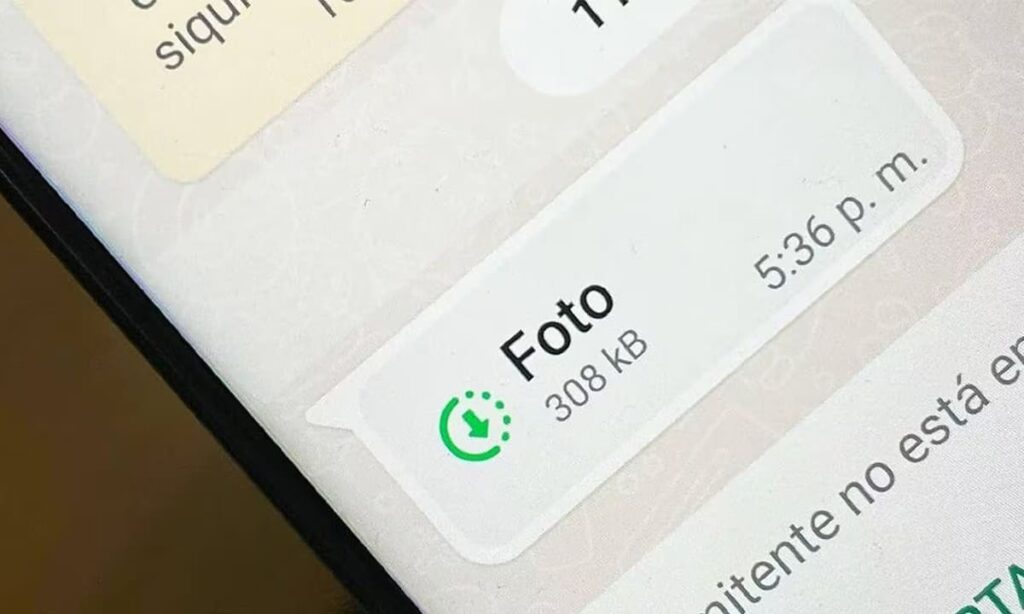 ¿Cómo guardar una foto de visualización única enviada en WhatsApp? | ¿Cómo guardar una foto de visualización única enviada en WhatsApp1