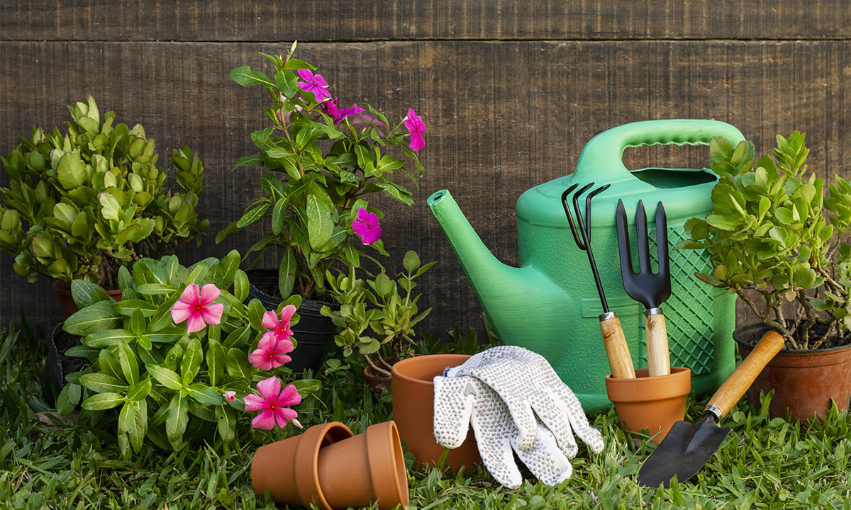 Curso gratis de jardinero: curso en línea y con certificado | Curso gratis de jardinero curso en línea y con certificado2